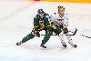 21.11.2013 - (Ilves-Blues) kuva: 19