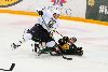 21.11.2013 - (Ilves-Blues)