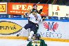 21.11.2013 - (Ilves-Blues) kuva: 28