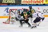 21.11.2013 - (Ilves-Blues) kuva: 33