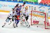 28.11.2013 - (Tappara-Kärpät) kuva: 5