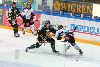 10.12.2013 - (Ilves-Pelicans) kuva: 14