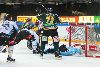 10.12.2013 - (Ilves-Pelicans) kuva: 17