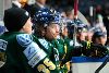 10.12.2013 - (Ilves-Pelicans) kuva: 19