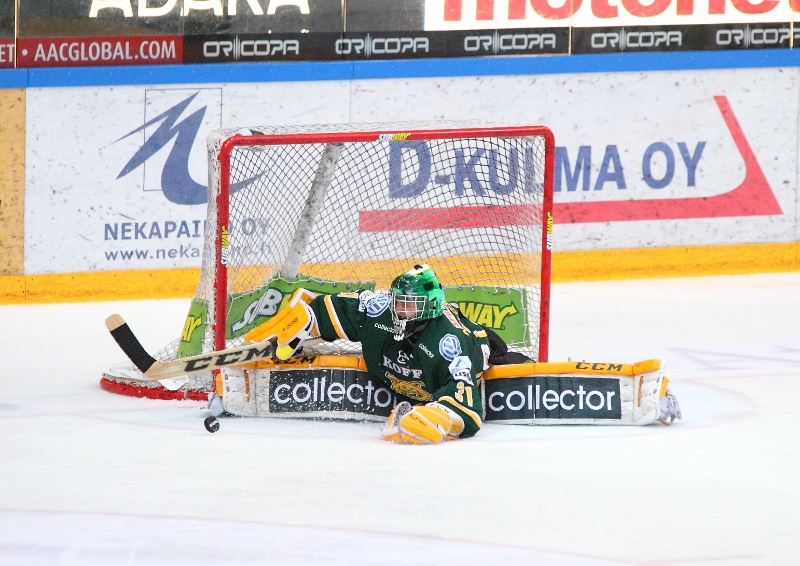 28.12.2013 - (Ilves-Ässät)