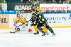 12.2.2013 - (Ilves-Lukko) kuva: 19