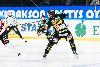 19.2.2013 - (Ilves-Ässät) kuva: 13