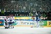 27.03.2013 - (Tappara-HIFK) kuva: 8