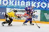 7.3.2013 - (Tappara-SaiPa) kuva: 6