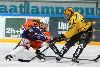 8.3.2013 - (Tappara A-KalPa A) kuva: 3