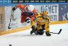 8.3.2013 - (Tappara A-KalPa A) kuva: 26