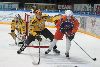 8.3.2013 - (Tappara A-KalPa A) kuva: 45