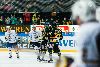 9.3.2013 - (Ilves-Blues) kuva: 8