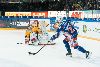 1.4.2013 - (Tappara-Lukko) kuva: 5