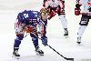 22.4.2013 - (Tappara-Ässät) kuva: 9