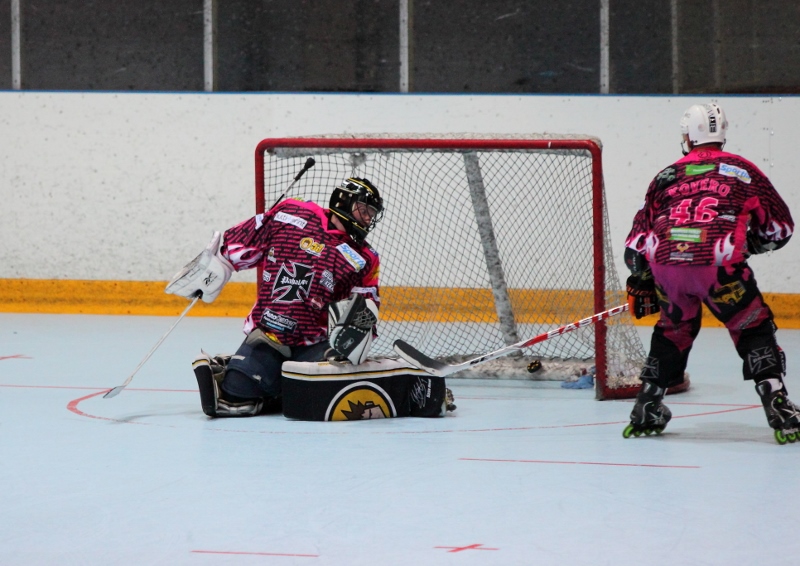 28.6.2013 - (Pahalampi-Pepe Roller)