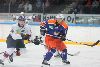 13.8.2013 - Tappara-Djurgårdens IF kuva: 1