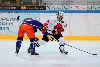 24.8.2013 - (Tappara-SC Bern) kuva: 6