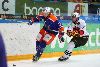 24.8.2013 - (Tappara-SC Bern) kuva: 22