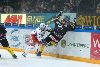 17.1.2014 - (Tappara-SaiPa) kuva: 30