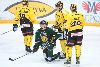 24.1.2014 - (Ilves-SaiPa) kuva: 24