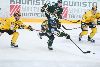 24.1.2014 - (Ilves-SaiPa) kuva: 25