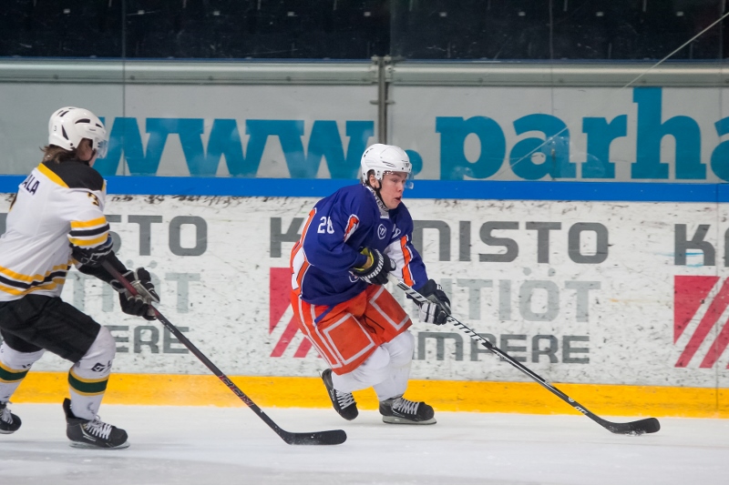 29.1.2014 - (Tappara A-Ilves A)