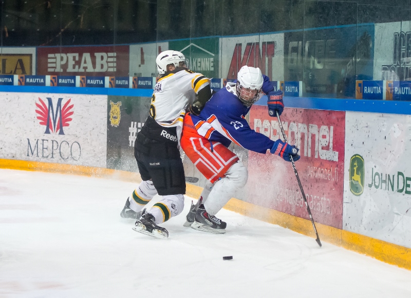 29.1.2014 - (Tappara A-Ilves A)