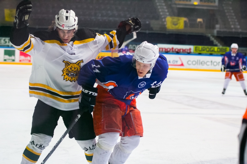 29.1.2014 - (Tappara A-Ilves A)