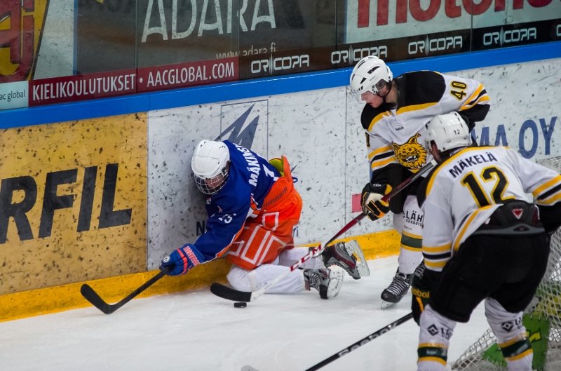 29.1.2014 - (Tappara A-Ilves A)