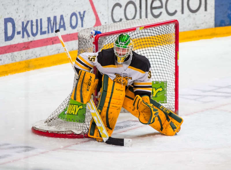 29.1.2014 - (Tappara A-Ilves A)