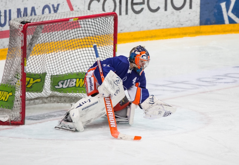 29.1.2014 - (Tappara A-Ilves A)