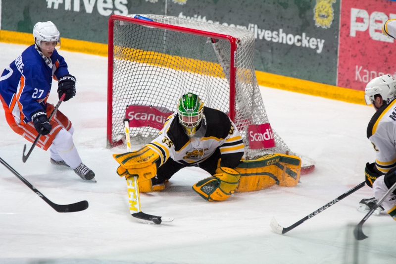 29.1.2014 - (Tappara A-Ilves A)