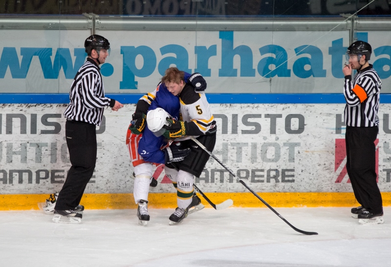 29.1.2014 - (Tappara A-Ilves A)