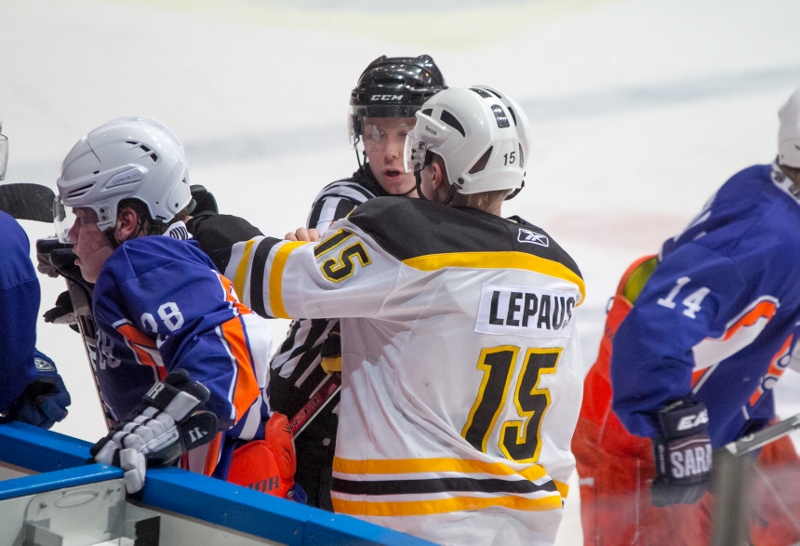 29.1.2014 - (Tappara A-Ilves A)