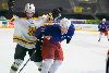 29.1.2014 - (Tappara A-Ilves A) kuva: 6