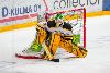 29.1.2014 - (Tappara A-Ilves A) kuva: 9