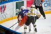 29.1.2014 - (Tappara A-Ilves A) kuva: 11