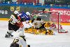 29.1.2014 - (Tappara A-Ilves A) kuva: 19