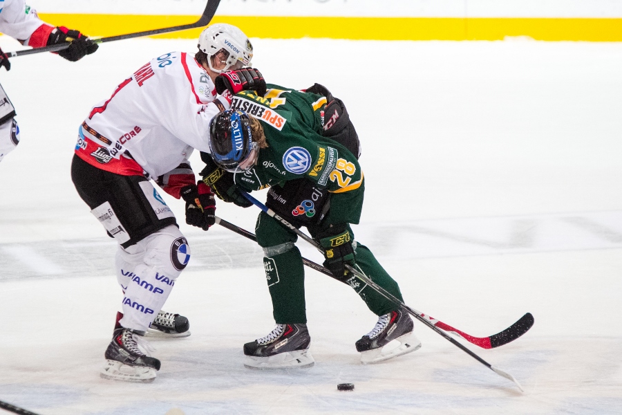 14.11.2014 - (Ilves-Sport)