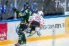 14.11.2014 - (Ilves-Sport) kuva: 1