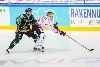 14.11.2014 - (Ilves-Sport) kuva: 12