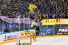 5.12.2014 - (Ilves-TPS) kuva: 28