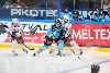 21.3.2014 - (Tappara-Pelicans) kuva: 11