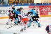 21.3.2014 - (Tappara-Pelicans) kuva: 26