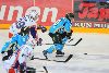 21.3.2014 - (Tappara-Pelicans) kuva: 30