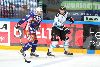 24.3.2014 - (Tappara-Pelicans) kuva: 24