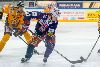 2.4.2014 - (Tappara-Lukko) kuva: 18