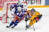 2.4.2014 - (Tappara-Lukko) kuva: 41