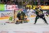 12.9.2014 - (Ilves-Tappara) kuva: 12